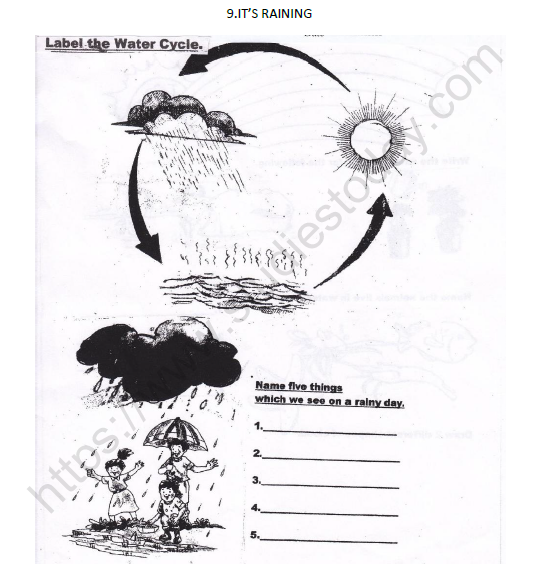 cbse-class-3-evs-its-raining-worksheet